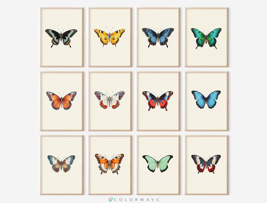 Butterfly set 4k wall painting