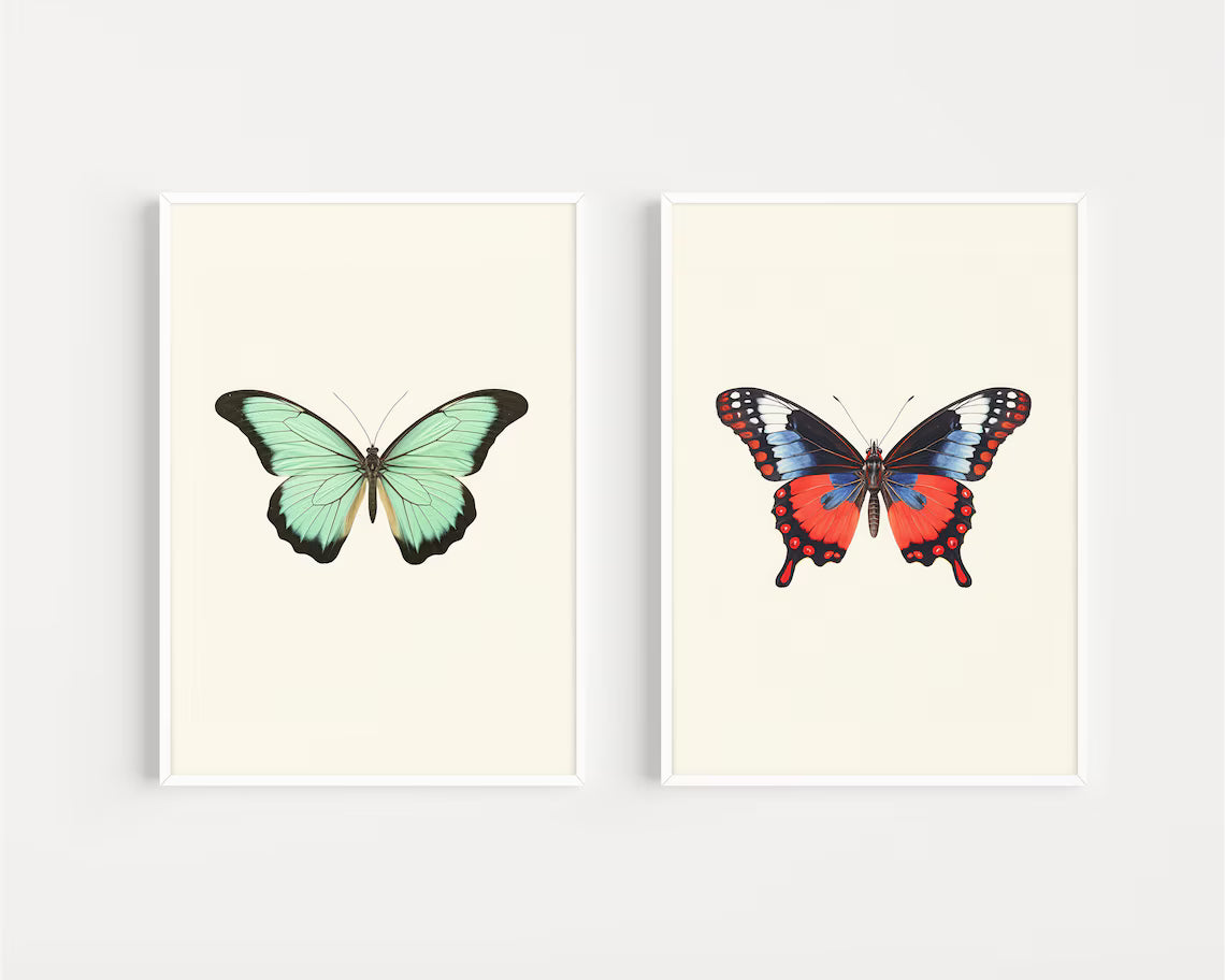 Butterfly set 4k wall painting