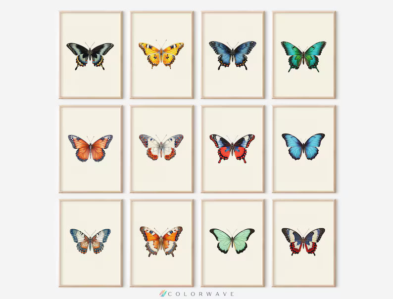 Butterfly set 4k wall painting